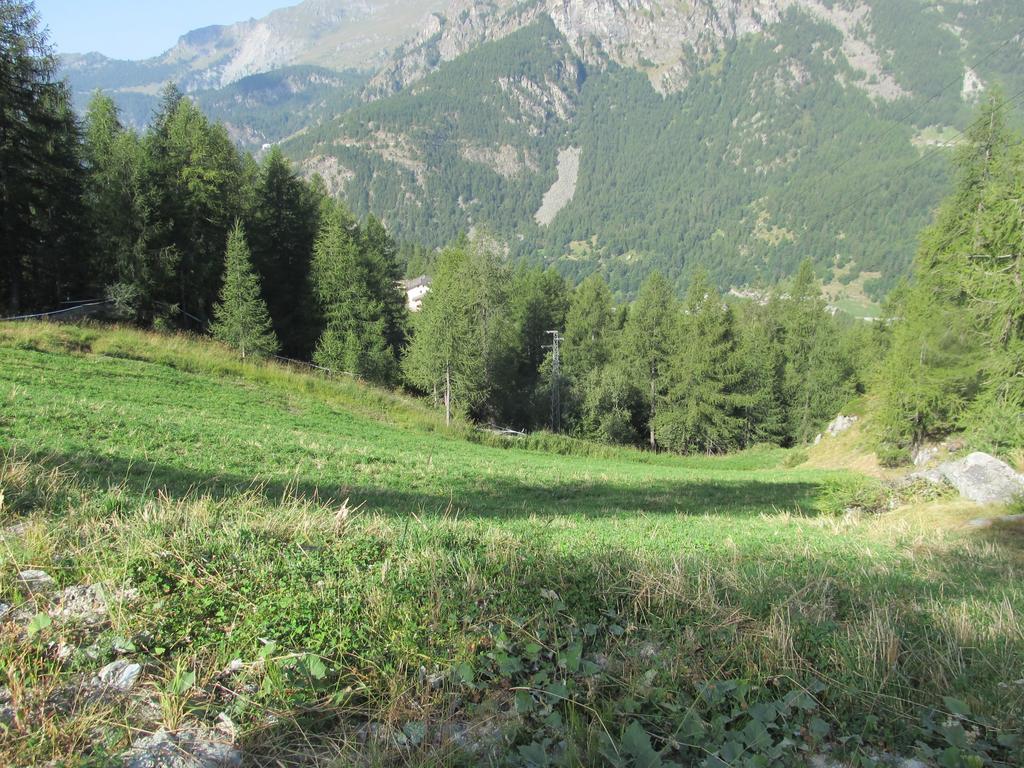 Cervino Valley House Rododendro Breuil-Cervinia Cameră foto